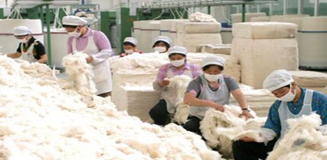 新疆内外棉花加工企业普遍感到阵阵寒意_搜了